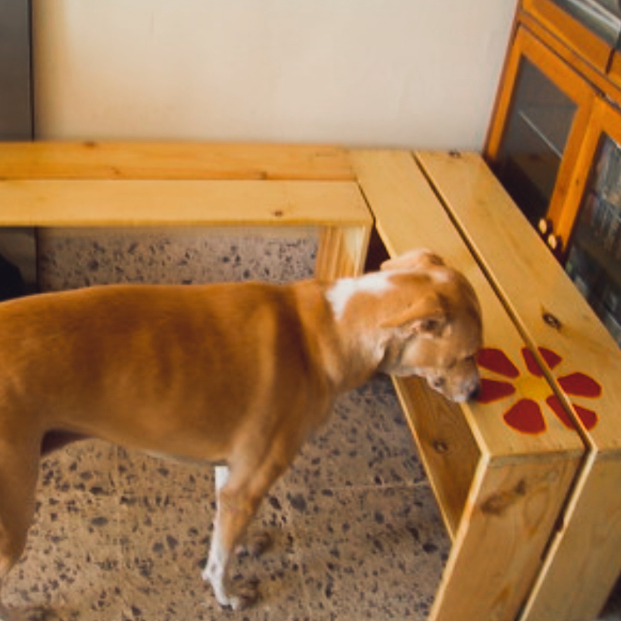 L-shaped pine corner bench with a painted red daisy motif — Nabina's dog exploring underneath