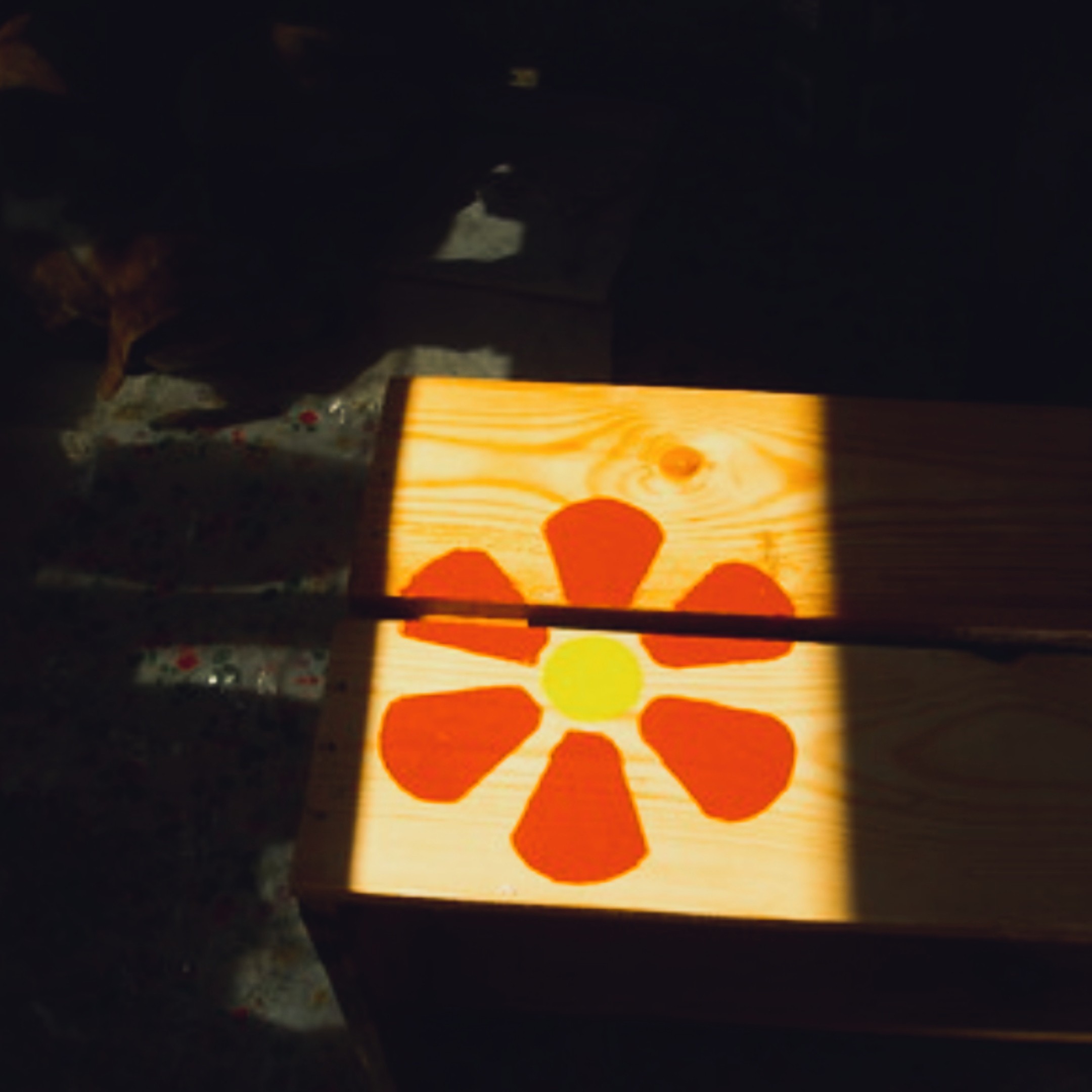 Close-up of the daisy painted on the corner bench, dramatically back-lit against a dark background