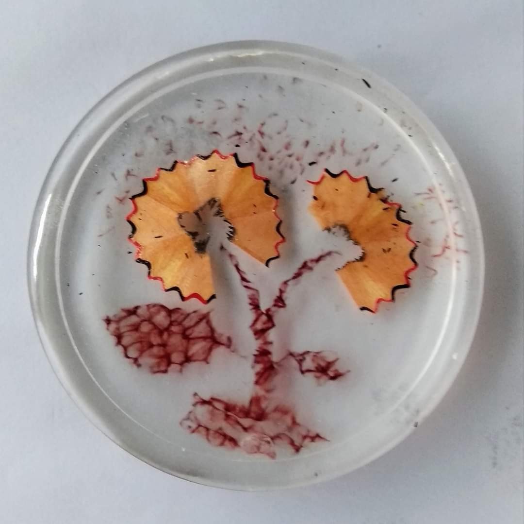 Round clear resin coaster — two coloured pencil shavings arranged as flower heads on stems, with pencil dust scattered in the resin