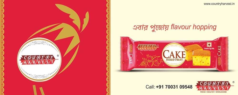 Bengali language print ad 7