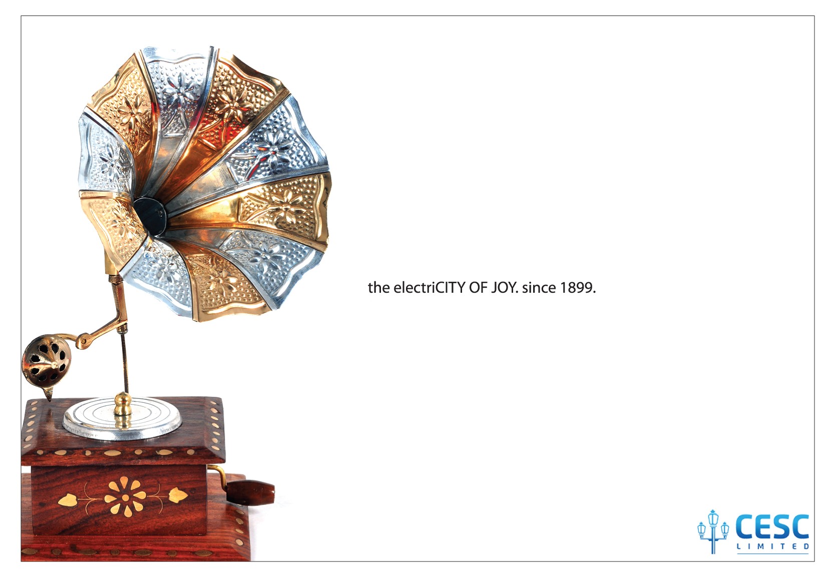 Power utility corporate print ad 5