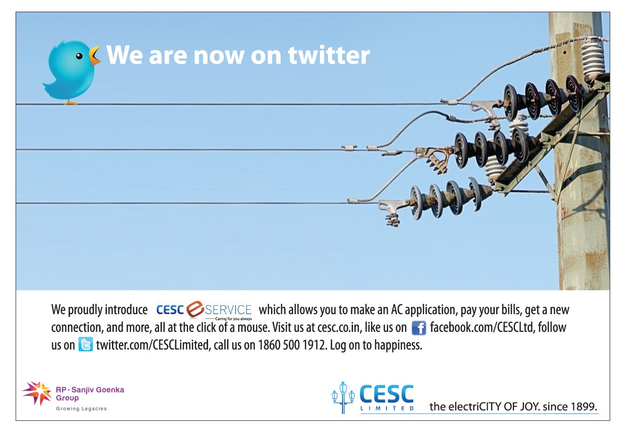 Power utility corporate print ad 11