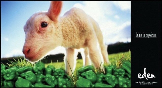 Eden 100% vegetarian restaurant print ad — 'Lamb in capsicum' — lamb against field of green capsicums, Eden logo